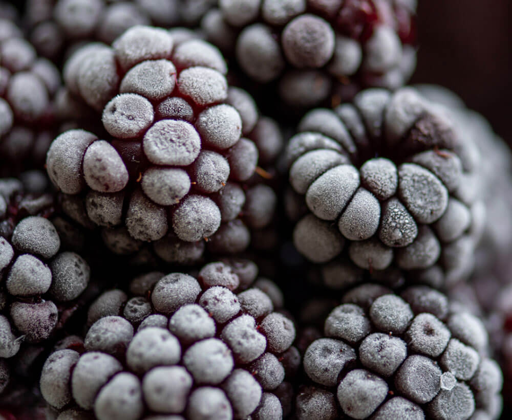 Industrial - Blackberries